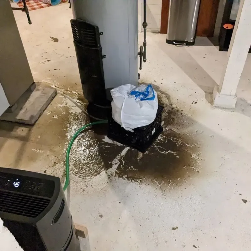 Sewage Backup Cleanup Service in Grantley, PA
